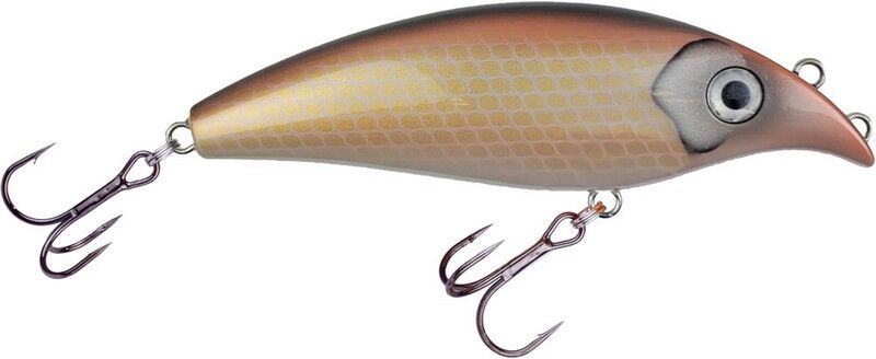 Hurricane Plague 16cm-C - Champagne