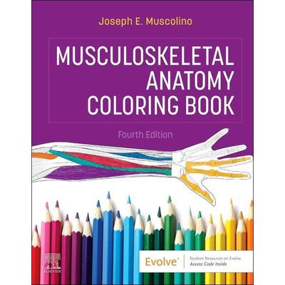 Musculoskeletal Anatomy Coloring Book, Taschenbuch von Joseph E. Muscolino, Elsevier LTD, 978-0-323-87816-6