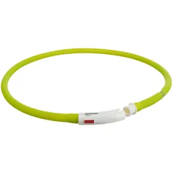 4x Trixie Flash Leuchtring USB (S, XS, Hund, Spazieren), Halsband + Leine