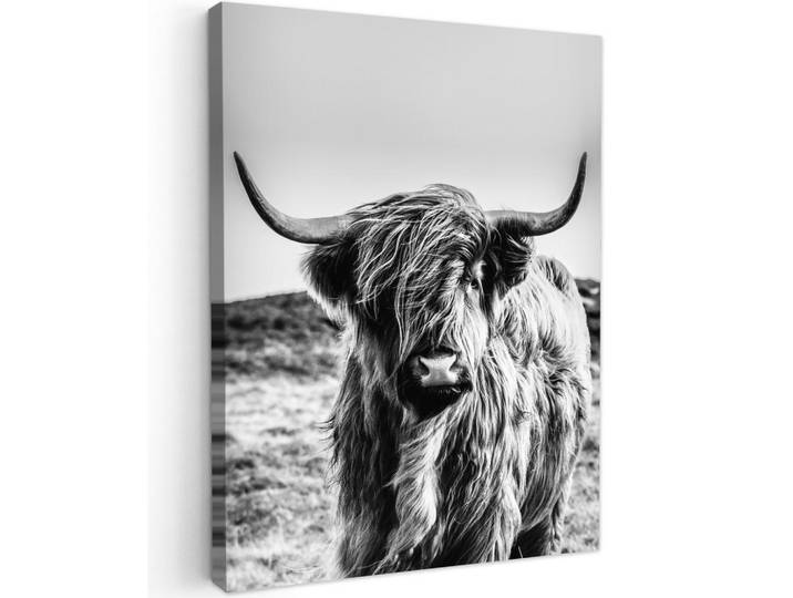 MuchoWow Leinwandbild - Kuh - Schottischer Hochländer - Schwarz - Weiß - Tier - Natur - Wildtiere - 60x80 - Gemälde, Textil, Kiefer, Abstrakt, Rechteckig, 60x80 cm, FSC 100%, gerahmt, Bilder & Rahmen, Bilder, Wandbilder