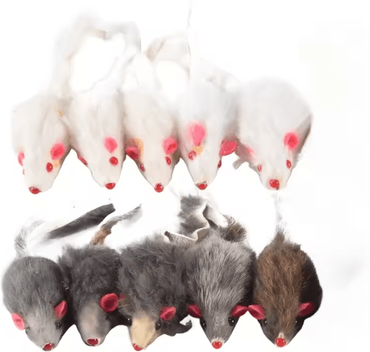 Inspire Curations 10 Pack Plush Mouse Cat Toys For Interactive Play & Exercise black White xs