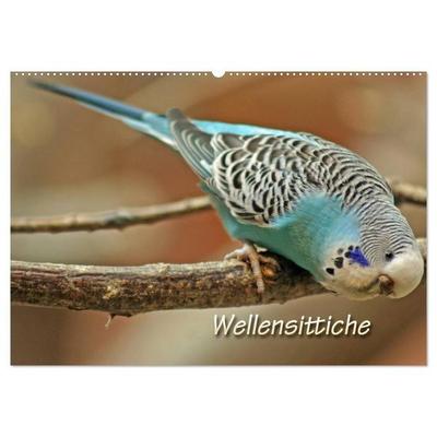 Wellensittiche (Wandkalender 2027 DIN A2 quer), CALVENDO Monatskalender