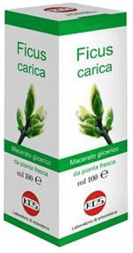 Kos Ficus Carica Mg Integratore per la funzione digestiva 100 ml