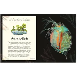 Wundervolle Welt. Wasser, Kinderbücher von Sam Hume