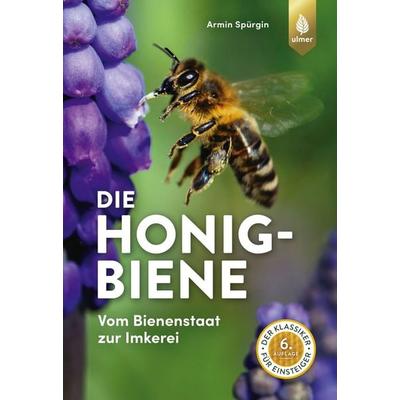 Die Honigbiene, Taschenbuch von Armin Spürgin, Verlag Eugen Ulmer, 978-3-8186-0974-0