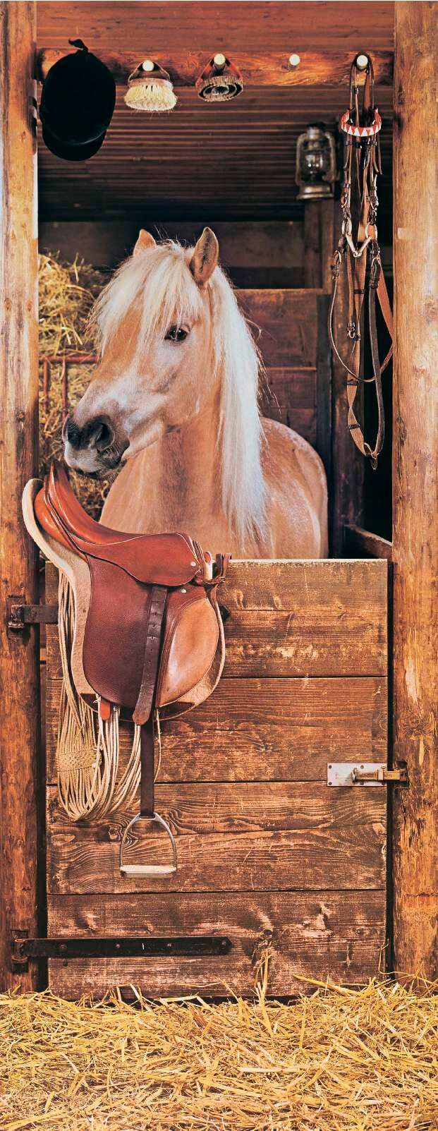 Fototapete PAPERMOON "Horse in Stable - Türtapete", bunt, B:0,9m L:2m, Vlies, Tapeten, Fototapete bunt B/L: 0,9m x 2m