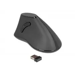 Delock Ergonomic Vertikale Maus
