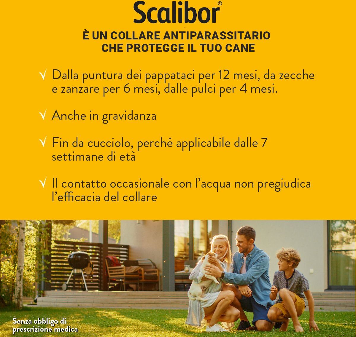 Scalibor Collare Antiparassitario per Cani 65CM
