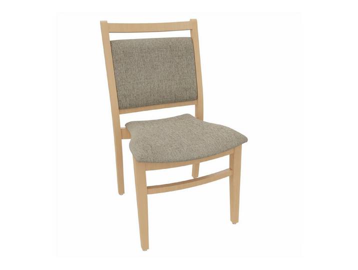 einrichtungsdesign24 Esszimmerstuhl André ohne Armlehnen – Ideal für Senioren im Pflegeheim oder Zuhause, Seniorenstuhl, Pflegestuhl