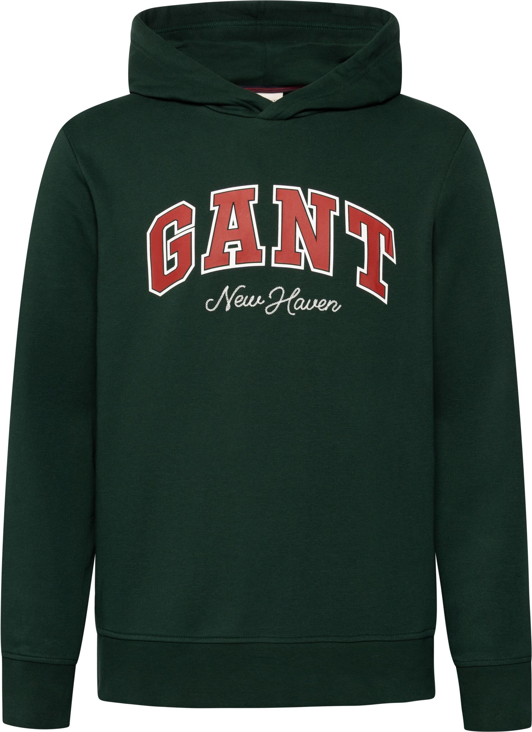 Hoodie GANT "GRAPHIC", Herren, Gr. XXL, grün (tartan grün), Sweatware, Obermaterial: 80% Baumwolle, 20% Polyester, normal, Bündchen, Sweatshirts Hoodie tartan grün XXL