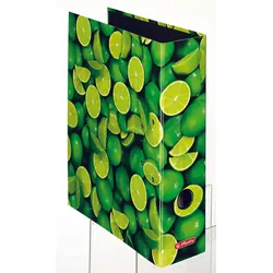 herlitz Motivordner Rückenbreite 8 cm DIN A4 Karton Motiv
