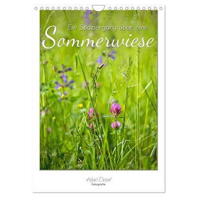Ein Spaziergang über eine Sommerwiese (Wandkalender 2026 DIN A4 hoch), CALVENDO Monatskalender