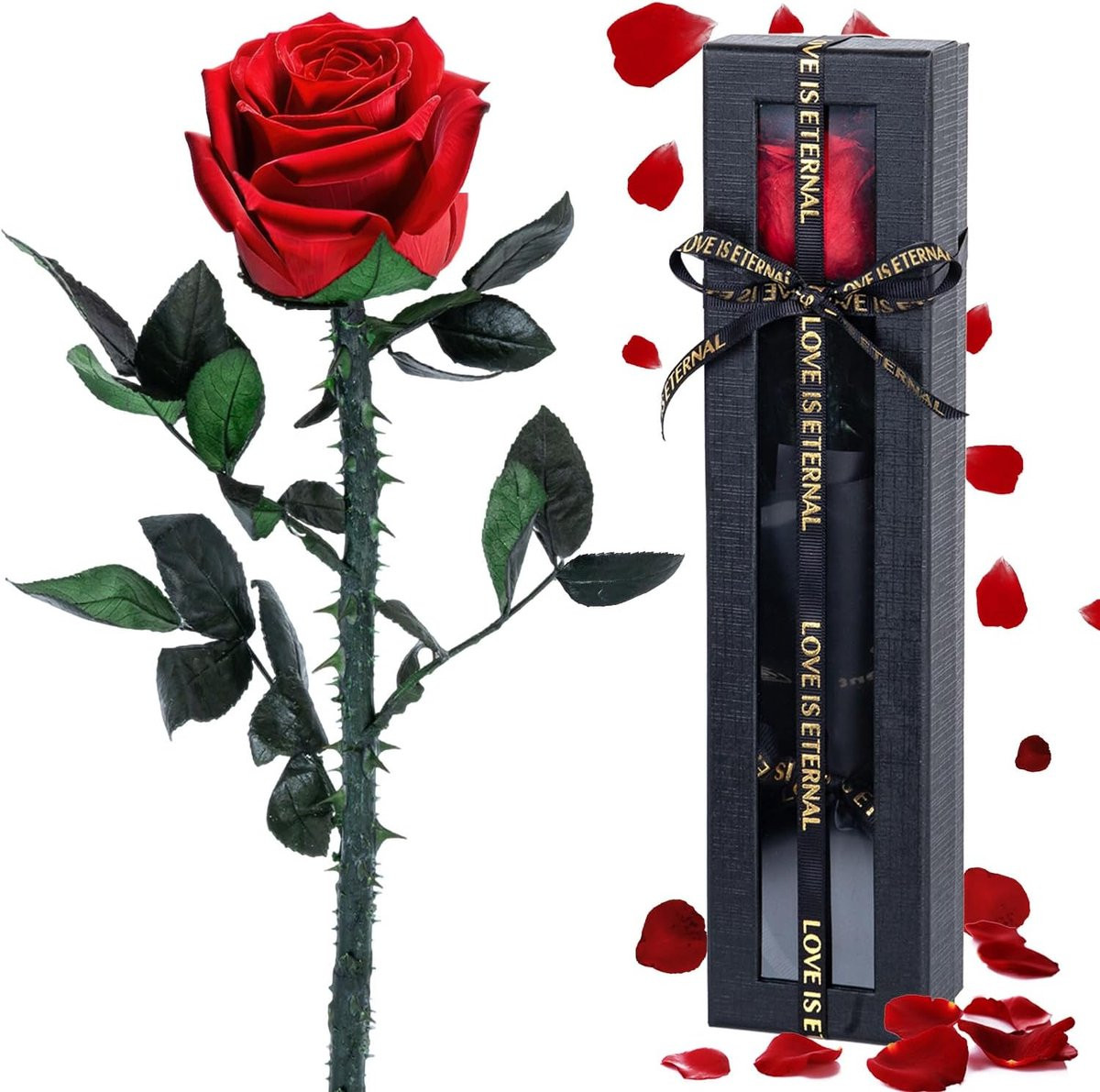 Eeuwige Roos Cadeau - Geconserveerde Bloemen die 5 jaar vers blijven