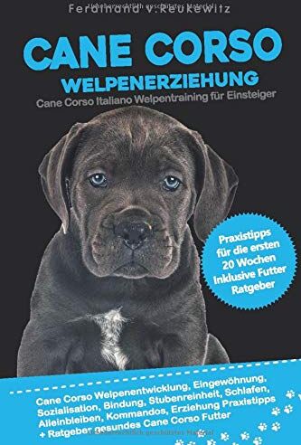Reukewitz, Ferdinand von - Cane Corso Welpenerziehung: Cane Corso Italiano Welpentraining für Einsteiger - Entwicklung, Eingewöhnung, Bindung, Stubenreinheit, Erziehung und Futter Praxisanleitung für die ersten 20 Wochen - Preis vom 13.10.2026 19:28:25 h