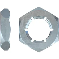 Fischer, Dübel, 547810 (100 Stk.)