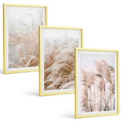 BILDER SET 3er Set - 40x60 cm Goldrahmen - Grasflächen in Braun- und Beigetönen