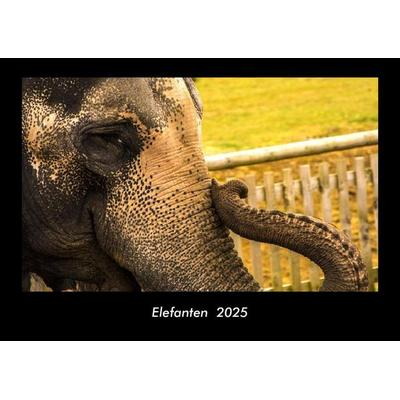 Elefanten 2025 Fotokalender DIN A3