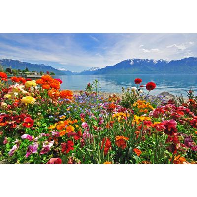 Fototapete PAPERMOON "BLUMEN-DESIGN NATUR LANDSCHAFT GEBIRGE BERGE ALPEN SEE", bunt, B:5m L:2,8m, Vlies, Tapeten