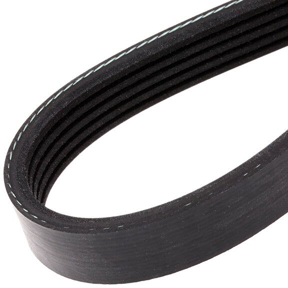FEBI BILSTEIN 28856 Serpentine belt