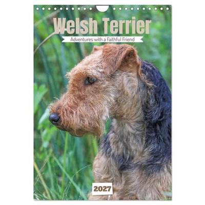 Welsh Terrier - Adventures with a Faithful Friend (Wall Calendar 2027 DIN A4 portrait), CALVENDO 12 Month Wall Calendar