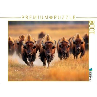 CALVENDO Puzzle Büffel | 1000 Teile Lege-Größe 64x48cm Foto-Puzzle für glückliche Stunden, Game von , Calvendo Puzzle
