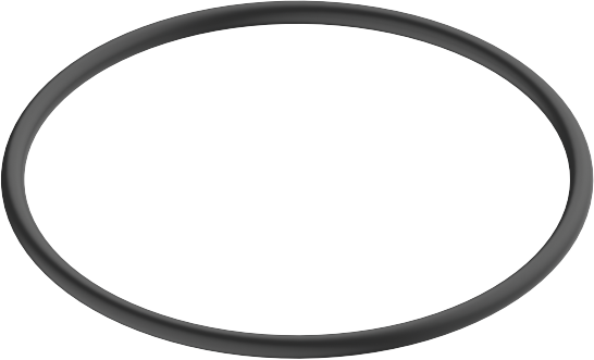 Dornbracht Joint torique 23 x 1 09141015190 mm