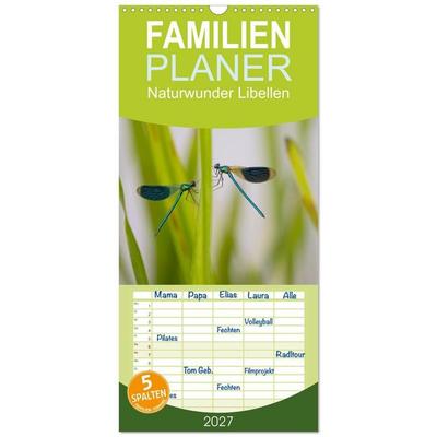 Familienplaner 2027 - Naturwunder Libellen mit 5 Spalten (Wandkalender, 21 x 45 cm) CALVENDO