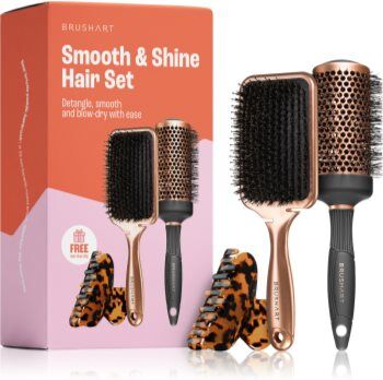 BrushArt Hair Smooth & Shine Hair Set coffret para cabelo . Hair Smooth & Shine Hair Set