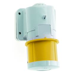 Bals Elektrotechnik 24335 24335 CEE Anbaustecker 32.0 A 3polig 110 V 1 St.