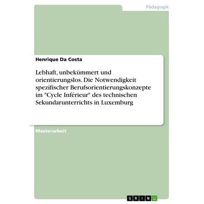 Lebhaft, unbekümmert und orientierungslos. Die Notwendigkeit spezifischer Berufsorientierungskonzepte im 'Cycle Inférieur' des technischen