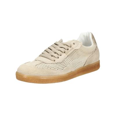 Sneaker STEVE MADDEN "STEVE MADDEN Sneaker Textil", Damen, Gr. 38, Textil, beige, Schuhe Sneaker