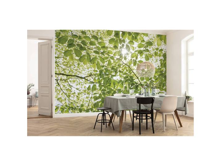 Papier peint intissé Forêt au printemps 450cm