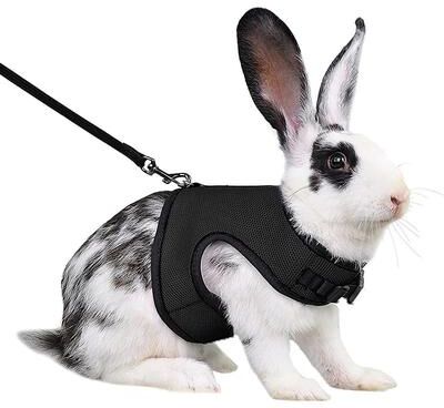 Pet Hub Adjustable Soft Harness & Elastic Leash For Rabbits Bunny Vest Suit S 2