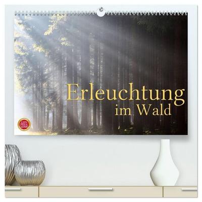 Erleuchtung im Wald (hochwertiger Premium Wandkalender 2027 DIN A2 quer), Kunstdruck in Hochglanz