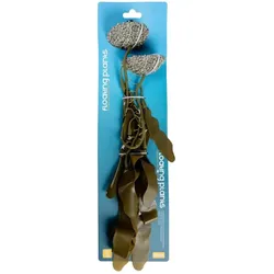 Europet Caulerpa (Dekoration, Pflanzen), Aquarium Dekoration