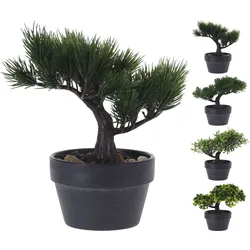 Kunstpflanze BONSAI (H 19 cm) - H 19 cm