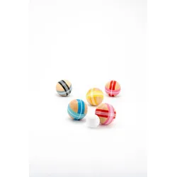 Remember Spiel Boccia Holz Bunt