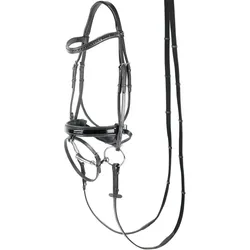 Harrys Horse Trense Lacque Square, schwarz, Größe Pferd: Cob