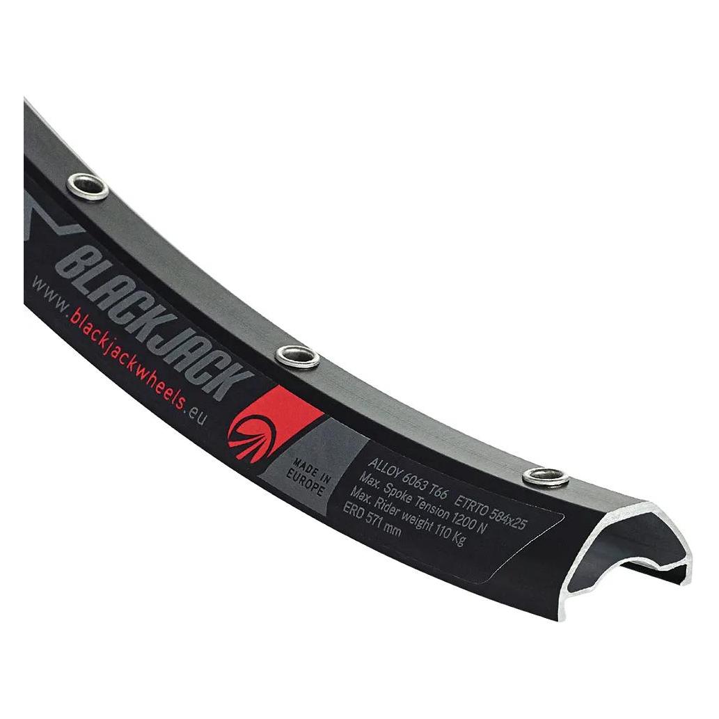 Rodi FELGE READY 25 (29") (65476615)