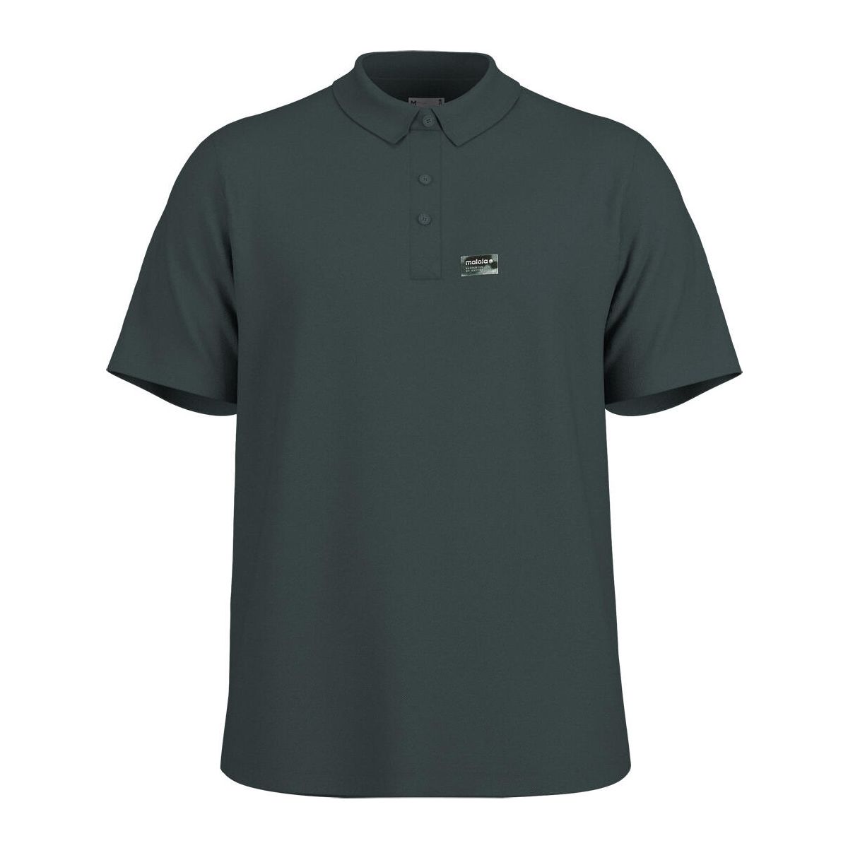 Maloja BirkkogelM. mountain pine (1226) M 41522-1-1226-M