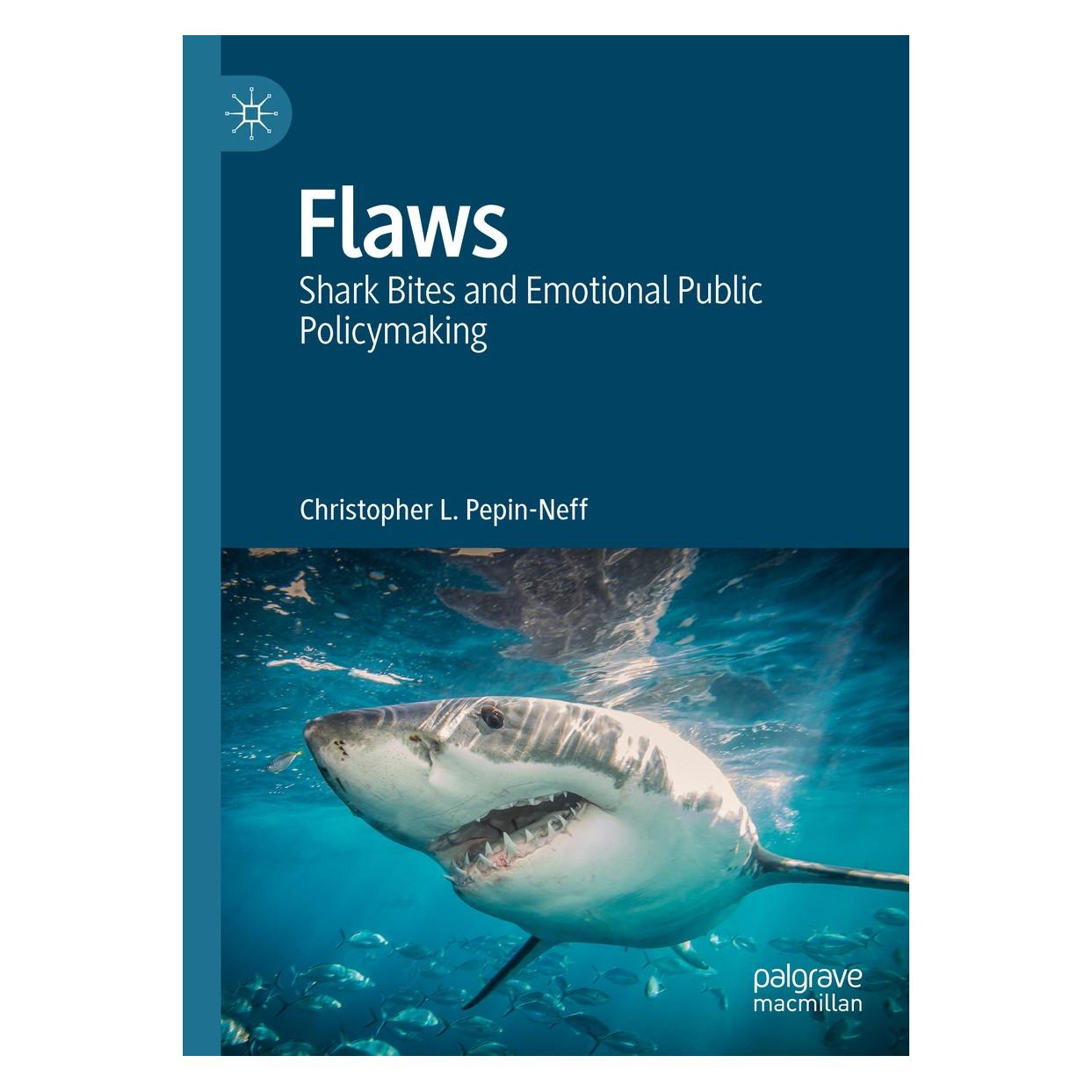 Springer Pepin-Neff:Flaws (Englisch, Hardcover, Christopher L. Pepin-Neff) (9783030109752)