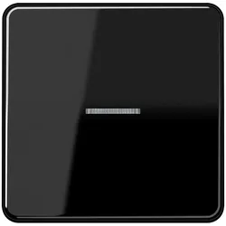 Jung Taster 1fach BT CD 17101 SW