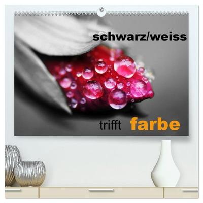 schwarz/weiß trifft farbe (hochwertiger Premium Wandkalender 2027 DIN A2 quer), Kunstdruck in Hochglanz