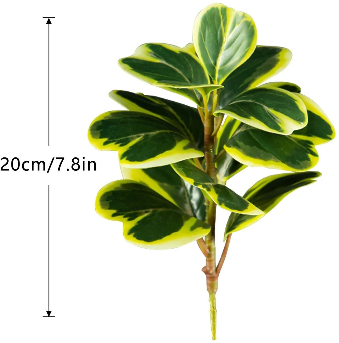 WiseGoods Premium Peperomia Kunsttak, 20 cm, Groen