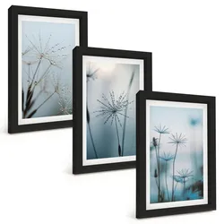 BILDER SET 3er Set - 20x30 cm Schwarzer Rahmen - Löwenzahn mit Wassertropfen