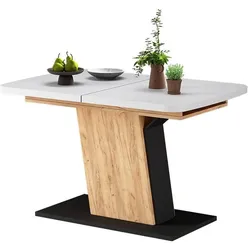 Vicco, Esstisch, Esszimmertisch Fenaro (120 x 80 x 77.30 cm)