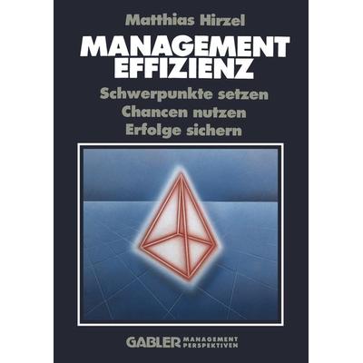 Management Effizienz, Taschenbuch von Matthias Hirzel, Betriebswirtschaftlicher Verlag Gabler, 978-3-322-93167-2