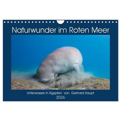 Naturwunder im Roten Meer (Wandkalender 2026 DIN A4 quer), CALVENDO Monatskalender