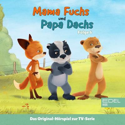 Folge 6: Gut getäuscht (Das Original Hörspiel zur TV-Serie) - Thomas Karallus, Audio, 4029759165828