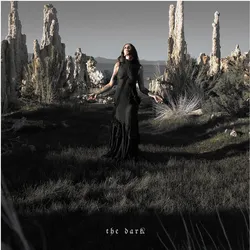 United Medical Partners, Schallplatten, The Dark (VINYL)